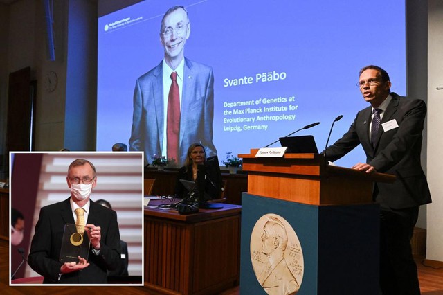 Giải Nobel Y sinh 2022 đã có chủ - Ảnh 2.