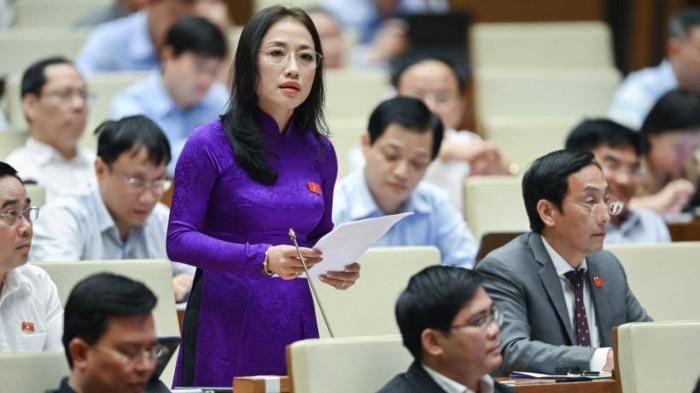 Đại biểu Trần Khánh Thu (đoàn Thái Bình)