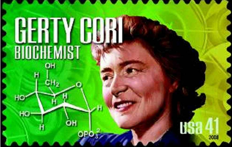 Người phụ nữ đầu tiên nhận Nobel Y học trên thế giới là ai? - Ảnh 4.