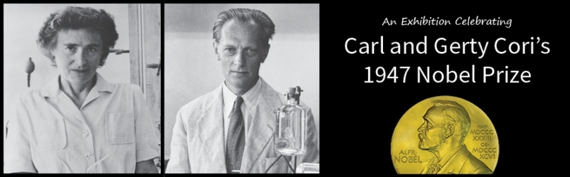 Người phụ nữ đầu tiên nhận Nobel Y học trên thế giới là ai? - Ảnh 3.