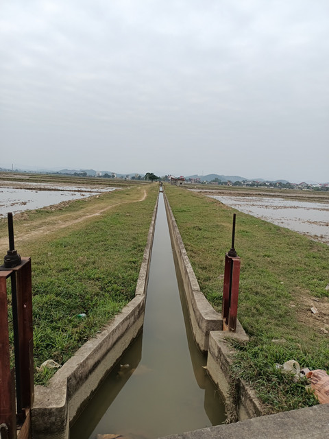 Hệ thống thủy lợi phục vụ sản xuất của xã Thọ Thành