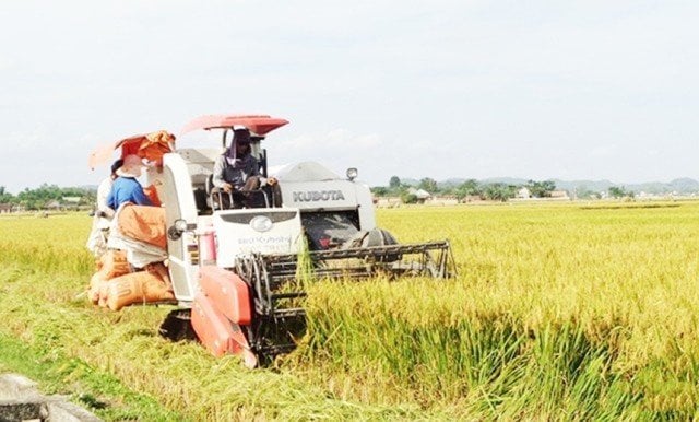Cơ giới hóa sản xuất nông nghiệp trên địa bàn xã Thọ Thành