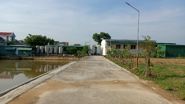 Bê tông hóa đường nội đồng ở xã Thọ Thành