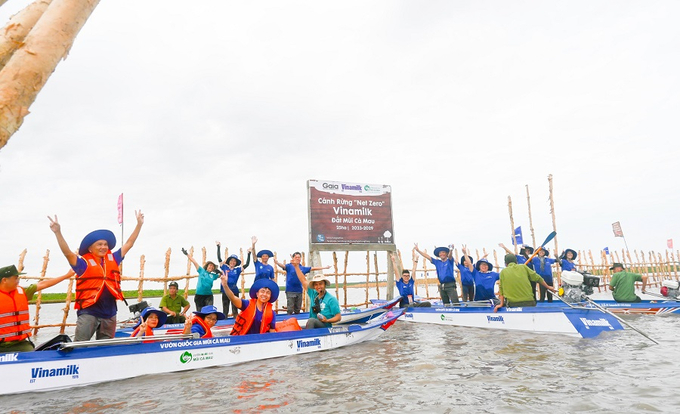 Khu vực khoanh nuôi tái sinh rừng ngập mặn có diện tích 25ha do Vinamilk, Gaia chung tay thực hiện tại vùng lõi Vườn Quốc gia Mũi Cà Mau   