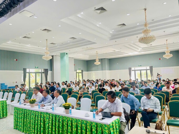 Quang cảnh tại buổi tập huấn