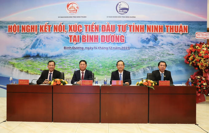Các đại biểu tham dự hội nghị