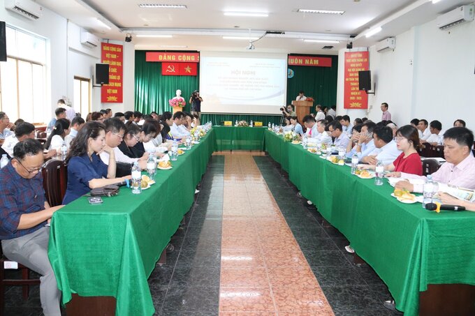 Quang cảnh hội nghị