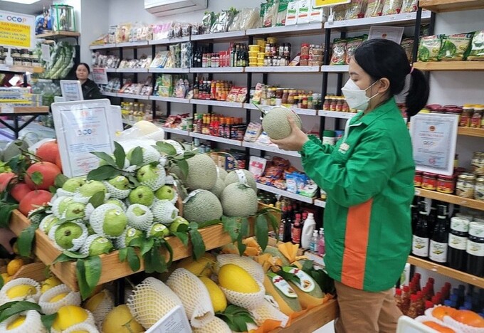 Lựa chọn thực phẩm tươi sống để đảm bảo an toàn tực phẩm (ảnh minh họa)