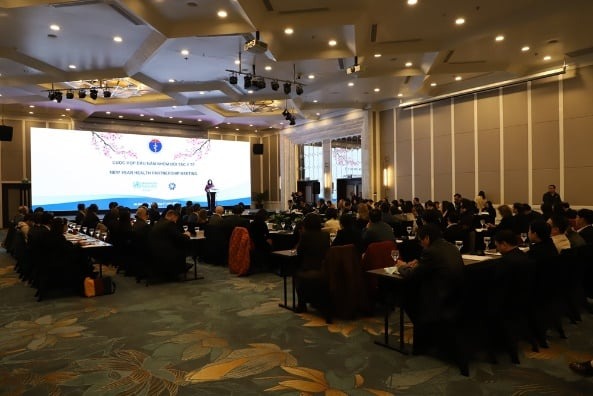 Các đại biểu tham dự cuộc họp nhóm đối tác y tế năm 2024
