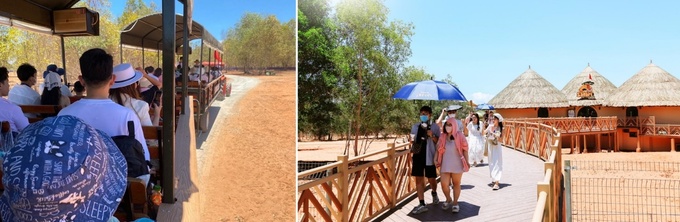 Du khách mê mẩn khám phá Safari Cafe - mô hình cafe bán hoang dã đầu tiên tại Bình Thuận