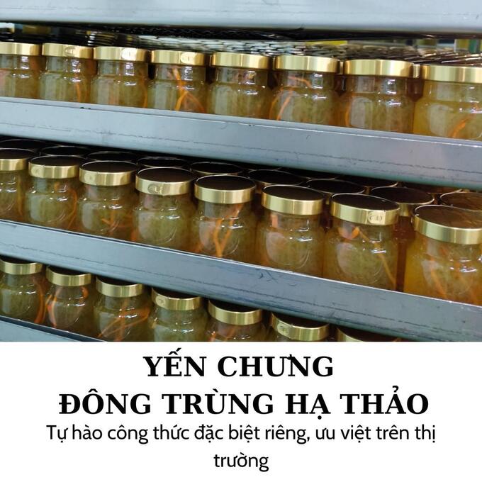 chenvo