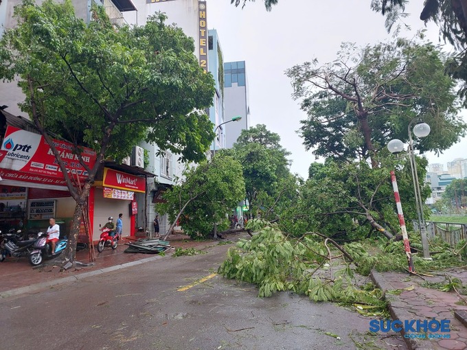 Sáng nay, dọc đường Vũ Tông Phan, quận Thanh Xuân, Hà Nội, cây to bị bật gốc, đổ ngổn ngang ra đường rất nhiều, chắn tầm nhìn, người dân lưu thông qua đoạn đường này phải đi vòng