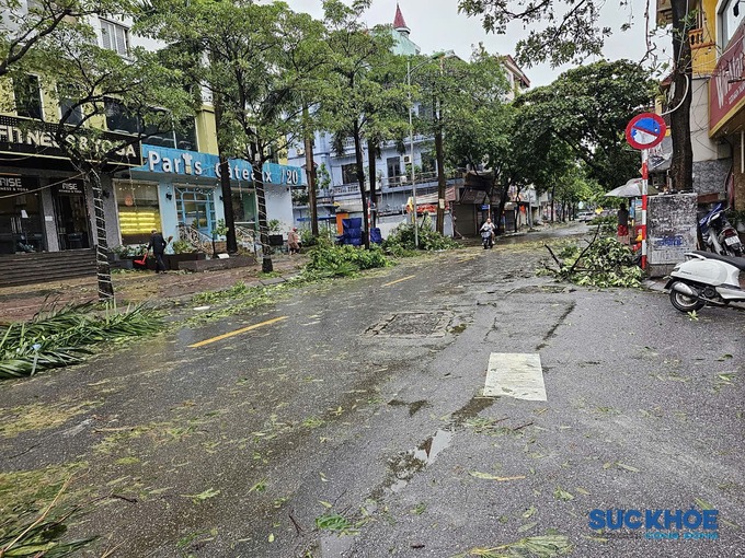 Đường phố bủa vây cây gãy đổ sau một ngày hứng bão Yagi tại đường Ngọc Lâm, quận Long Biên, Hà Nội