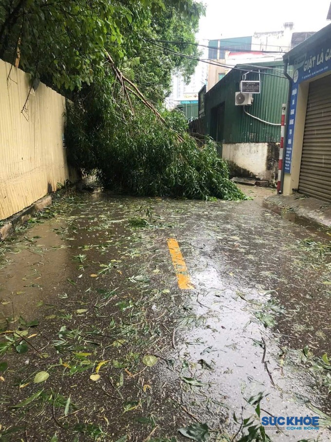 Một đoạn đường thuộc phường Tây Mỗ, Nam Từ Liêm, Hà Nội, cây cối đổ rạp, mái tôn bị gió quật đổ xuống đường