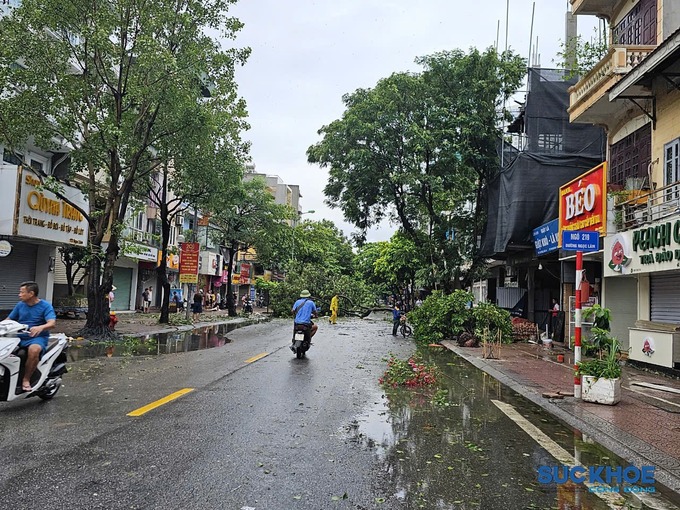 Cây cối ngã đổ chắn ngang đường trên phố Nguyễn Sơn, quận Long Biên, Hà Nội. Lực lượng chức năng đã có mặt để xử lý cây xanh, đảm bảo lưu thông cho người dân