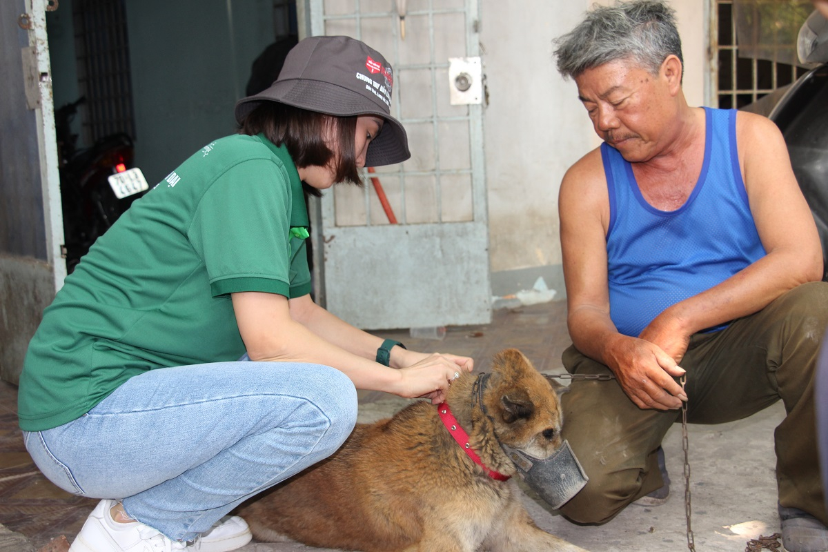 Chien-dich-tiem-phong-dai-cho-meo-tai-huyen-duc-hue-14