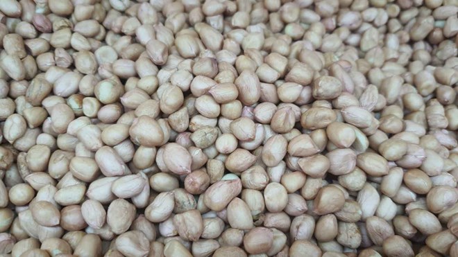 Dau-Phong