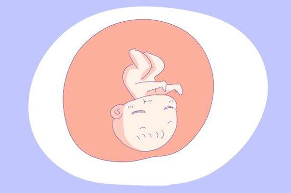 thai nhi the nao khi ba bau xem dien thoai di dong nhieu? cau tra loi khien me hoi han! - 3