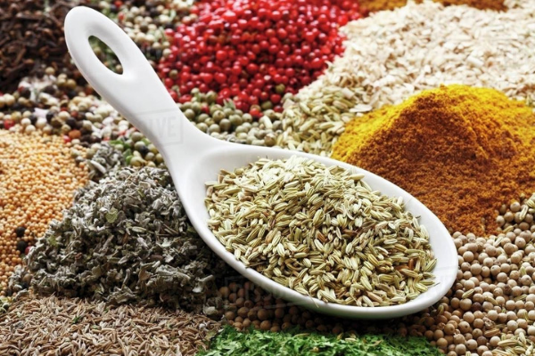 Hạt Tiểu Hồi - Fennel Seed nhập khẩu Ấn Độ giá bán hấp dẫn ...