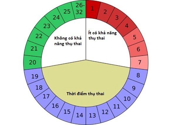 chu ky rung trung dien ra nhu the nao va co tinh duoc khong? - 5