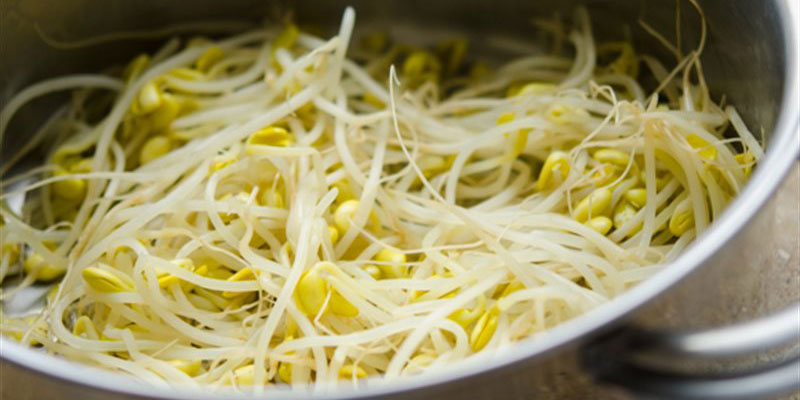 Nên ăn giá đỗ còn sống hay đã nấu chín?