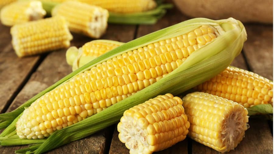Ngân hàng câu hỏi - Kênh thông tin kiến thức bệnh tiểu đường số 1 ...
