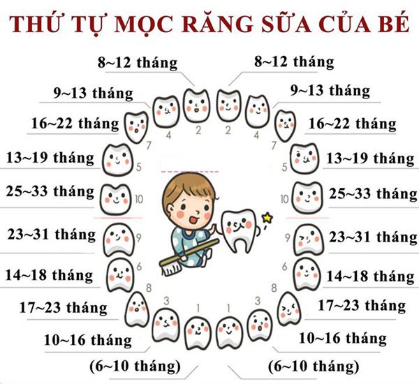 thu tu moc rang cua be tu so sinh den 3 tuoi cha me can quan tam - 1