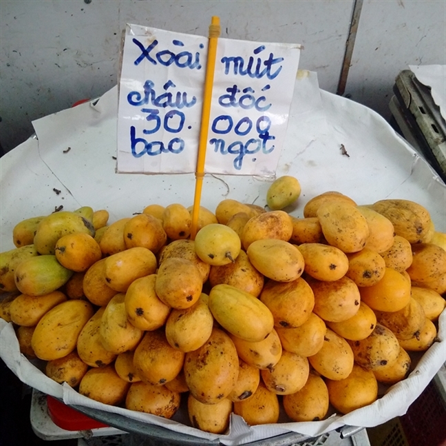 Xoài mút Trung Quốc đội lốt xoài Châu Đốc