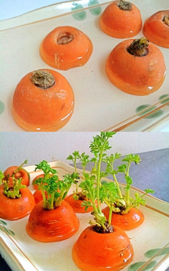 Sở hữu vườn rau gia vị xanh tốt từ phế liệu đơn giản và tiết kiệm cho góc bếp mùa hè luôn thơm - Ảnh 11. Sở hữu vườn rau gia vị xanh tốt từ phế liệu đơn giản và tiết kiệm cho góc bếp mùa hè luôn thơm - Ảnh 11.
