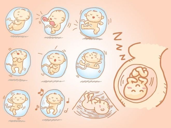 Thai nhi có dấu hiệu cử động (máy) từ tuần bao nhiêu?