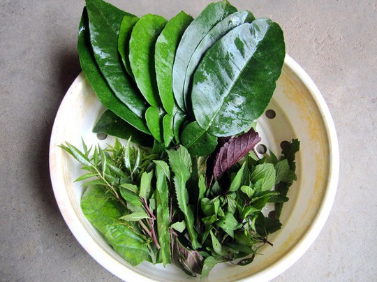 Lạ miệng với món chả cuốn lá bưởi | Phụ nữ - Báo Người Lao Động