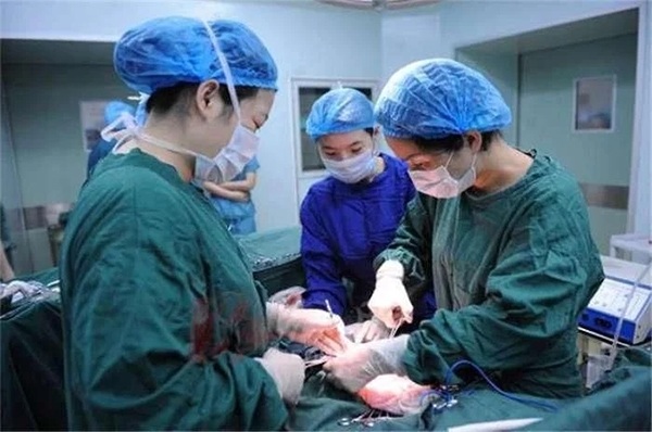 4 di chung sau de mo deo bam nguoi me suot cuoc doi - 1