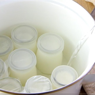 Sữa chua phô mai