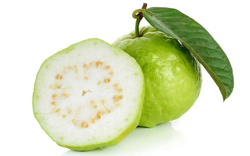 Công dụng của quả ổi, lá ổi và cách dùng lá ổi làm thuốc cực hay