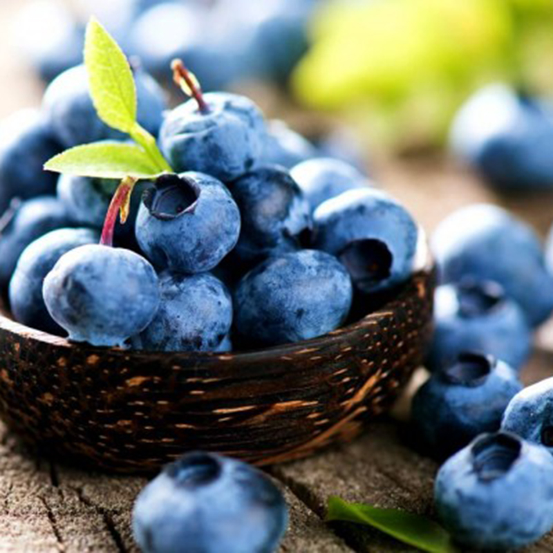 Hạt Giống Việt Quất Xanh】, Là Loại Thực Phẩm Giúp Giảm Cân, Giảm ...