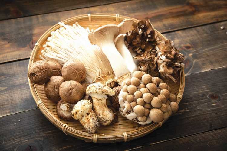 Thực phẩm có giúp đẩy lùi bệnh trầm cảm? | Vinmec