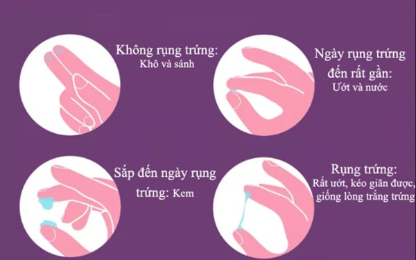 thoi diem de thu thai nhat chinh la khoang thoi gian rung trung cua phu nu - 4