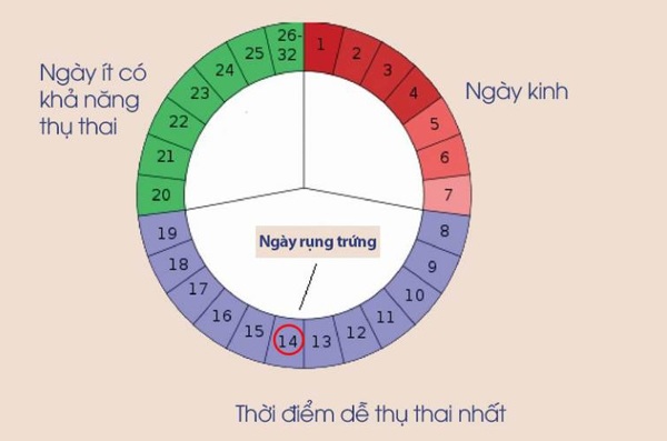 thoi diem de thu thai nhat chinh la khoang thoi gian rung trung cua phu nu - 3