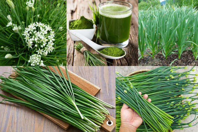 Sử dụng lá hẹ thường xuyên đem lại nhiều lợi ích cho sức khỏe