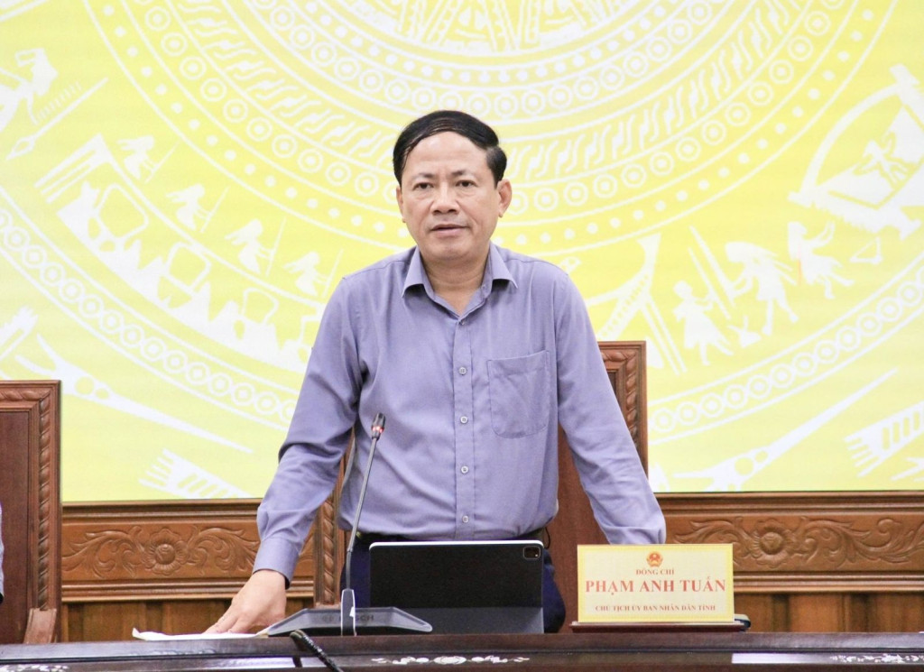 Chủ tịch UBND tỉnh Gia Lai Phạm Anh Tuấn phát biểu kết luận