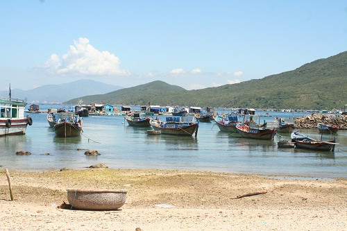 200214-thuysanvebo