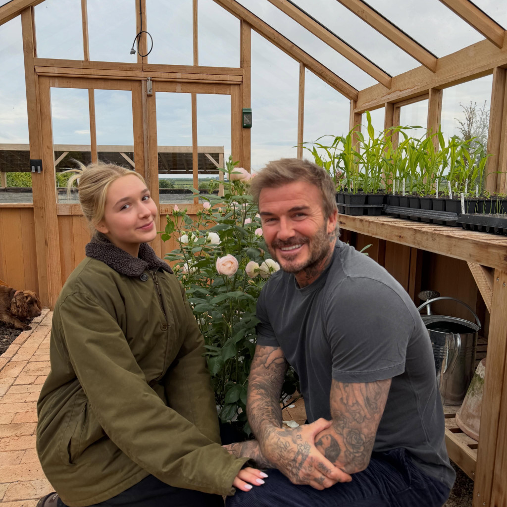 davidbeckham-3900385008822518447
