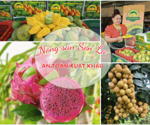 Nông sản Sơn La