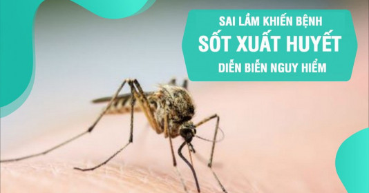 Bác sĩ cảnh báo sai lầm khiến bệnh sốt xuất huyết diễn biễn nguy hiểm