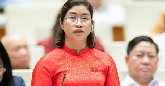 ĐBQH đề nghị Chính phủ làm rõ nguyên nhân dẫn đến sai phạm ở Việt Á, AIC