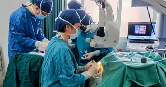 Các nhà khoa học Trung Quốc cấy ghép nội tạng từ lợn sang khỉ