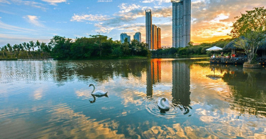 Những mảng rừng xanh vun đắp tâm hồn tại KĐT Ecopark