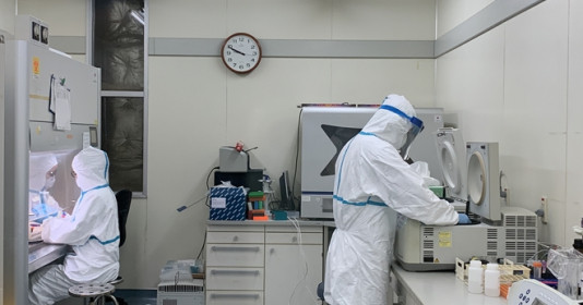Bộ Y tế trả lời kiến nghị nuôi cấy virus SARS-CoV-2 trong phòng xét nghiệm tại Sở Y tế TP. HCM