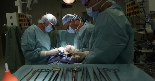 Nhật Bản ghép thành công tế bào tim làm từ tế bào đa năng cảm ứng