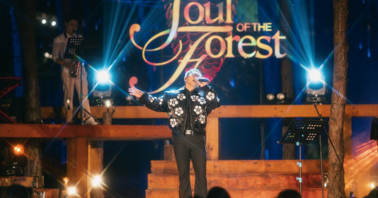 Đêm nhạc Soul of the Forest “Tình đầu” lãng mạn và đầy cuốn hút